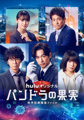 seo优化排名为什么上不去